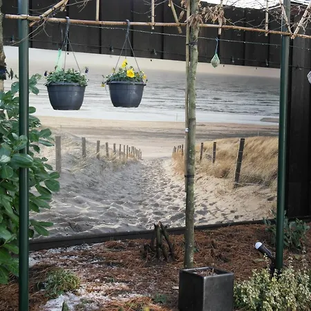 Zilverreiger *